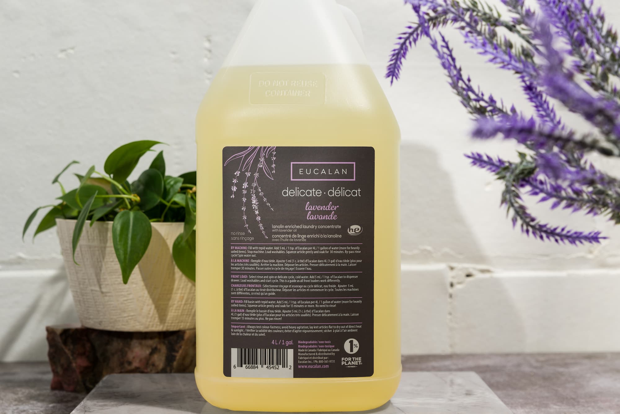 Lavande 1 gal / 4L pichet