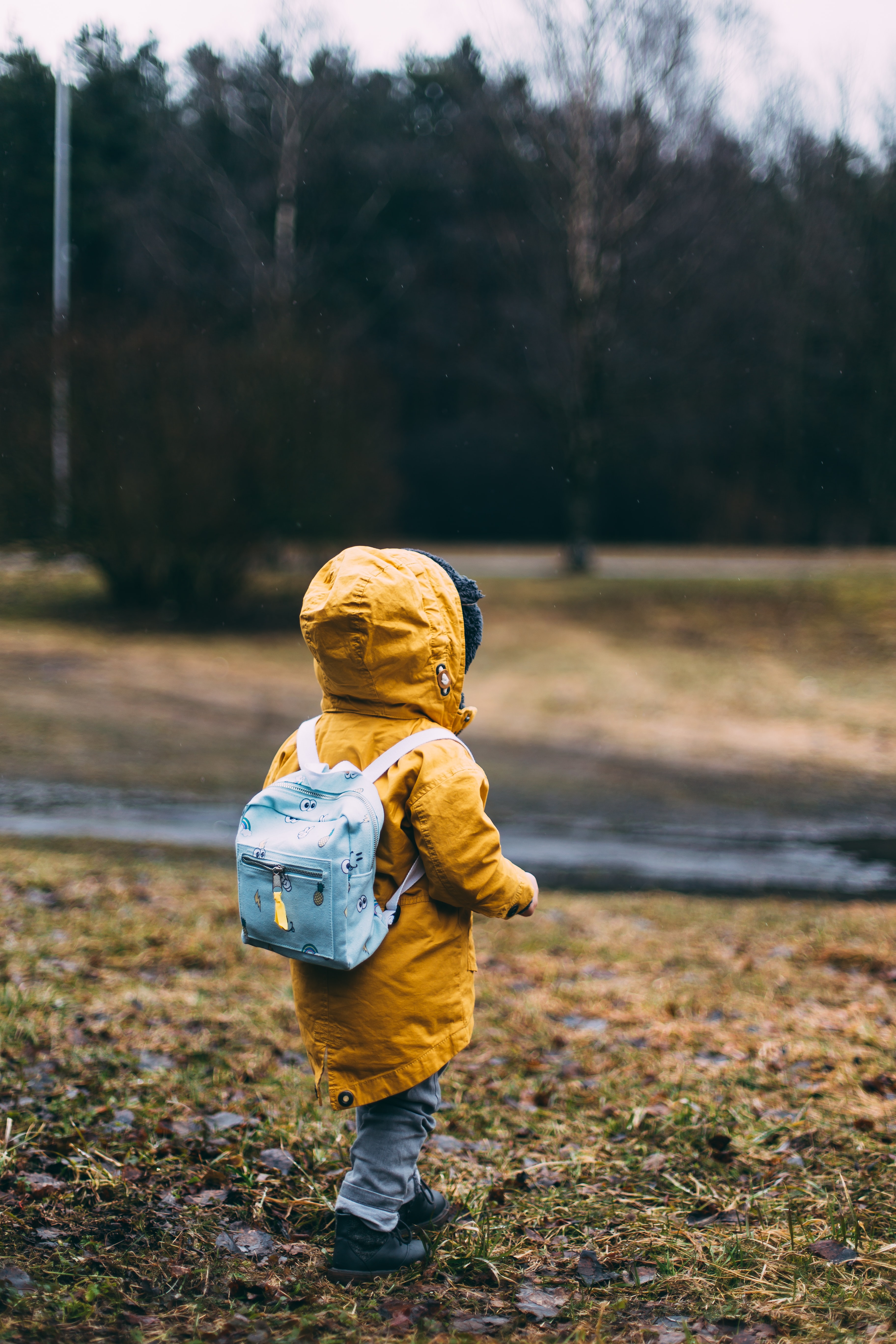 5 Ways to Ease the Back to School Transition