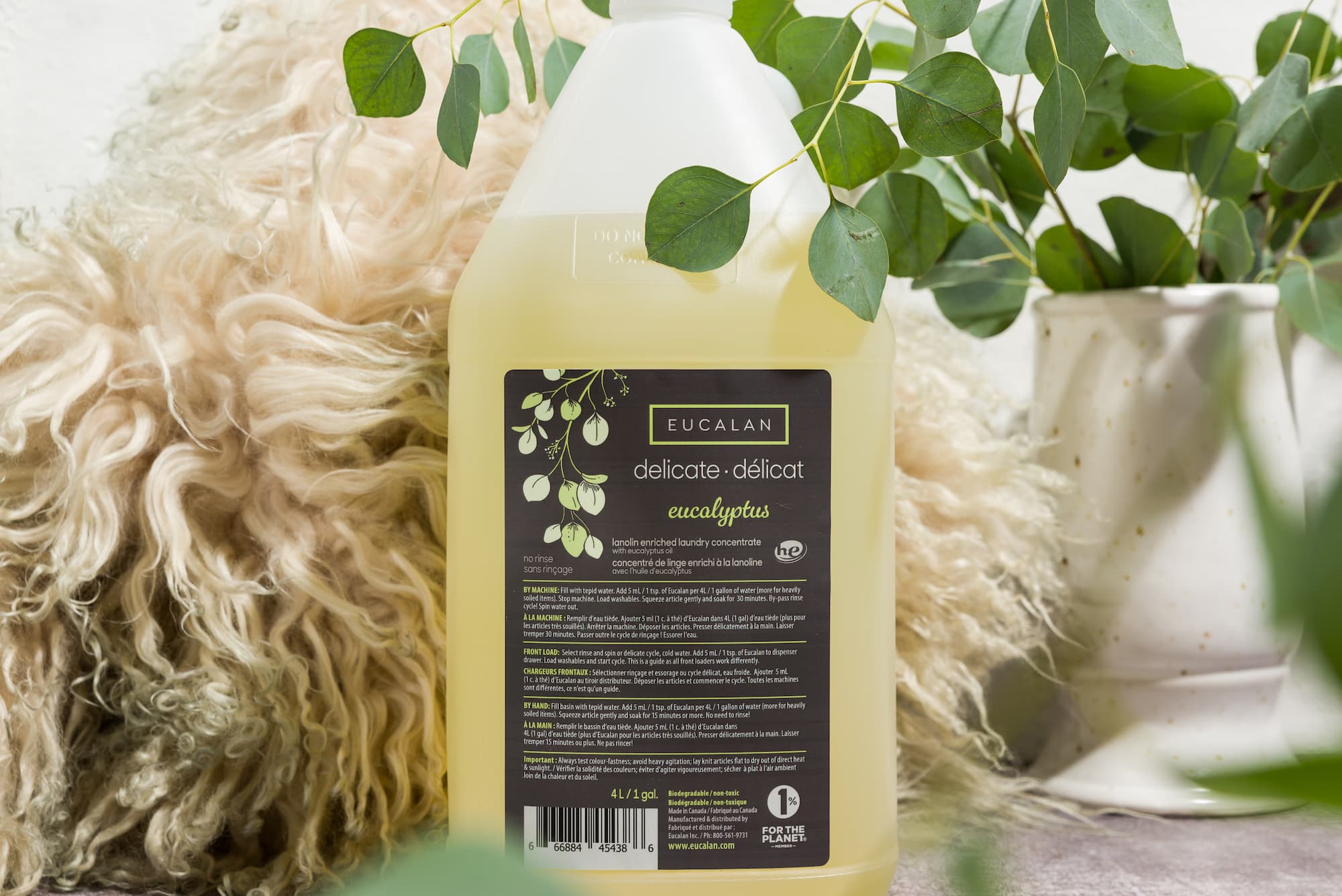 Eucalyptus 1 gal / 4L