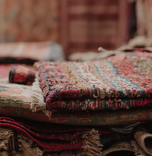 Carpet/Rugs