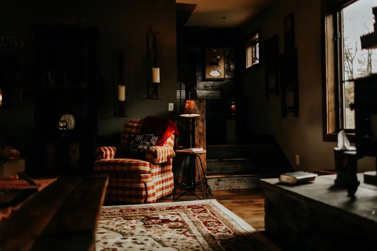 Dark and cozy cabin-like living room with a plaid chair in the center.